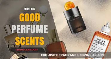 Discover the Best Perfume Scents for Every Occasion and Mood