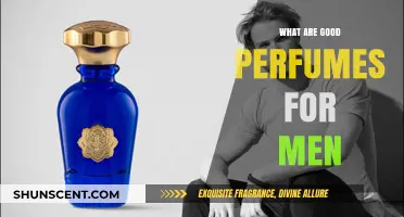 Top Masculine Fragrances: Best Perfumes for Men to Elevate Your Style