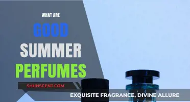 Best Summer Perfumes: Light, Fresh, and Vibrant Scents to Try