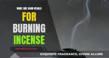 Best Vessels for Burning Incense at Home