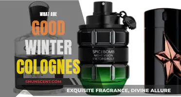 Winter Scents: Warm and Woody Colognes for Cold Days