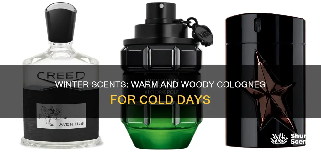 what are good winter colognes