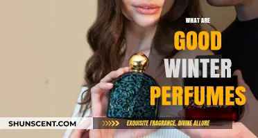 Cozy Winter Scents: Discover the Best Perfumes for Cold Days