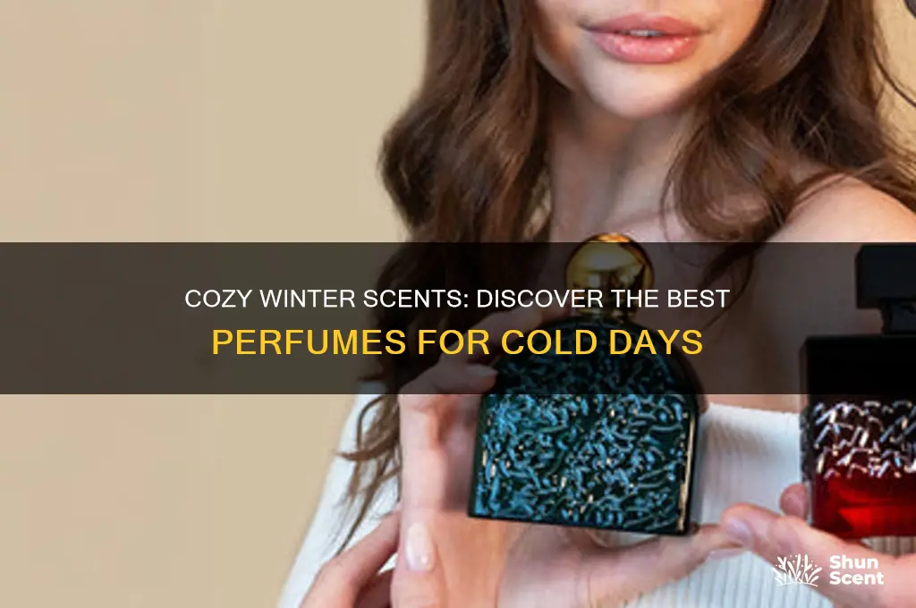 what are good winter perfumes