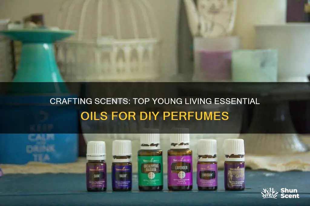 what are good yl eo to use for perfume