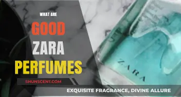 Discover the Best Zara Perfumes for Every Occasion and Style
