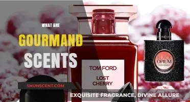 Exploring Gourmand Scents: Sweet, Edible Fragrances Explained and Loved