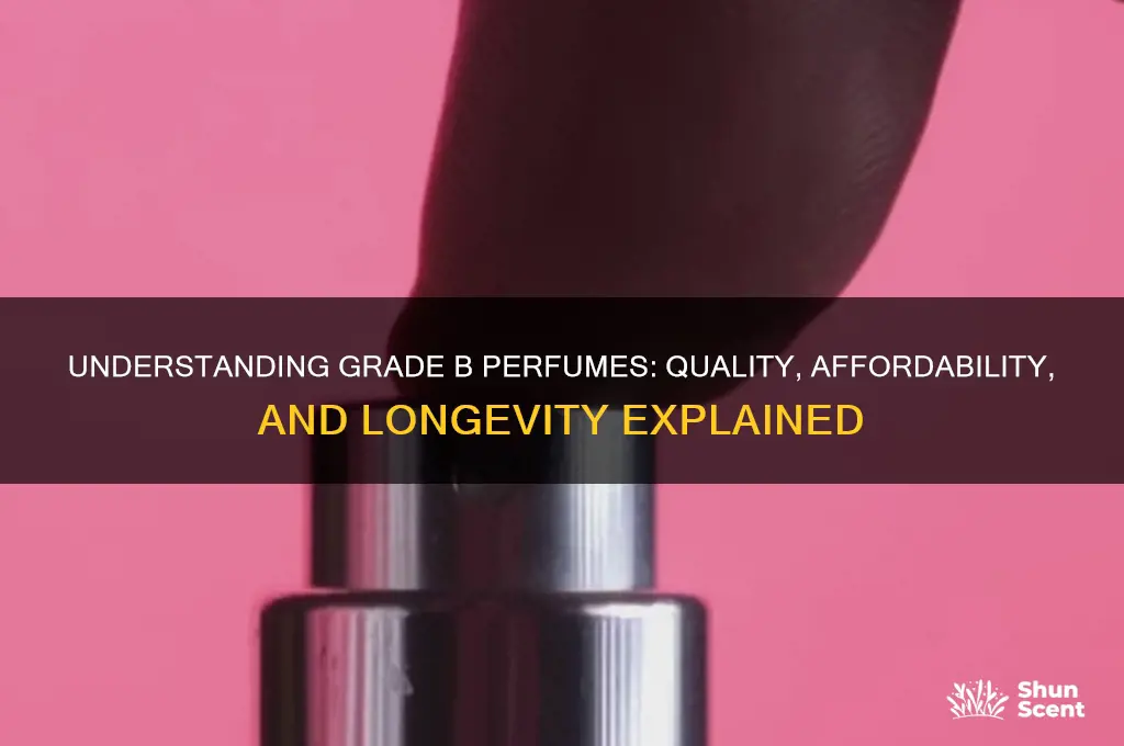 what are grade b perfumes