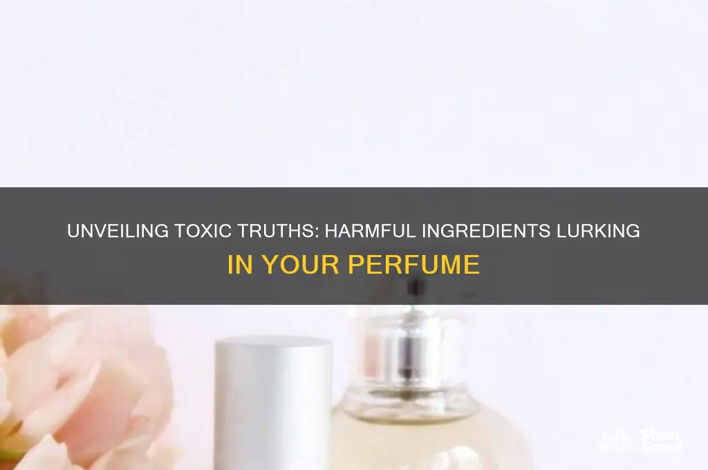 what are harmful ingredients in perfume