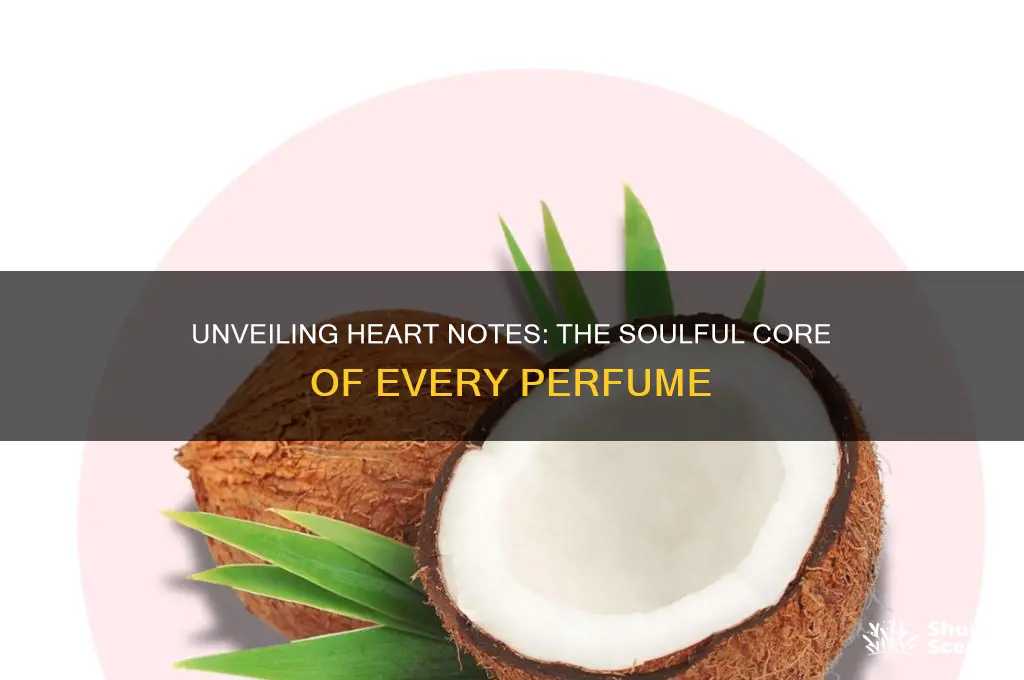 what are heart notes in perfume