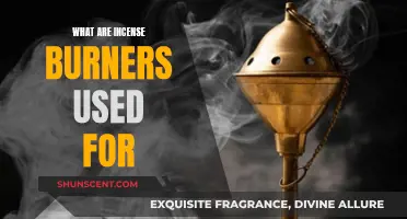 Incense Burners: Their Purpose and Cultural Significance