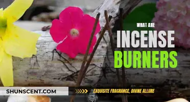 Incense Burners: A Guide to Their Use and Benefits