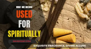 Incense for Spiritual Elevation and Purification