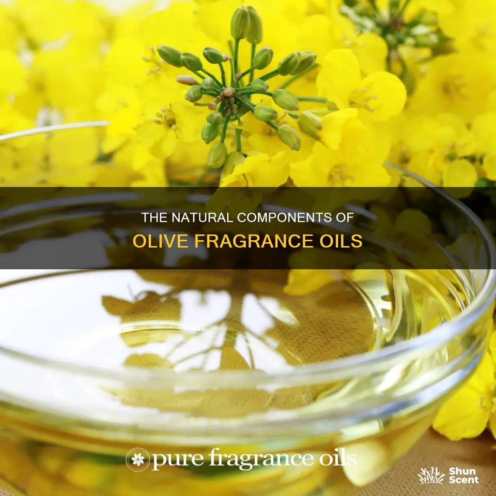 what are ingredients of olive fragrance oils