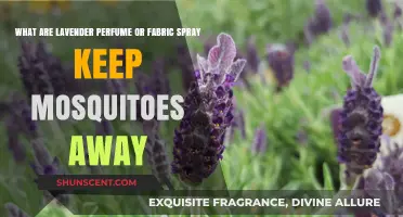 Lavender Scents: Natural Mosquito Repellent for Perfumes and Fabric Sprays
