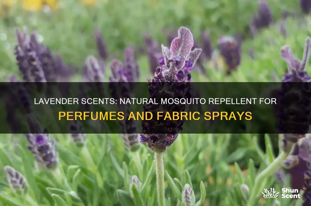 what are lavender perfume or fabric spray keep mosquitoes away