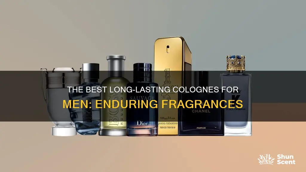 what are long lasting colognes