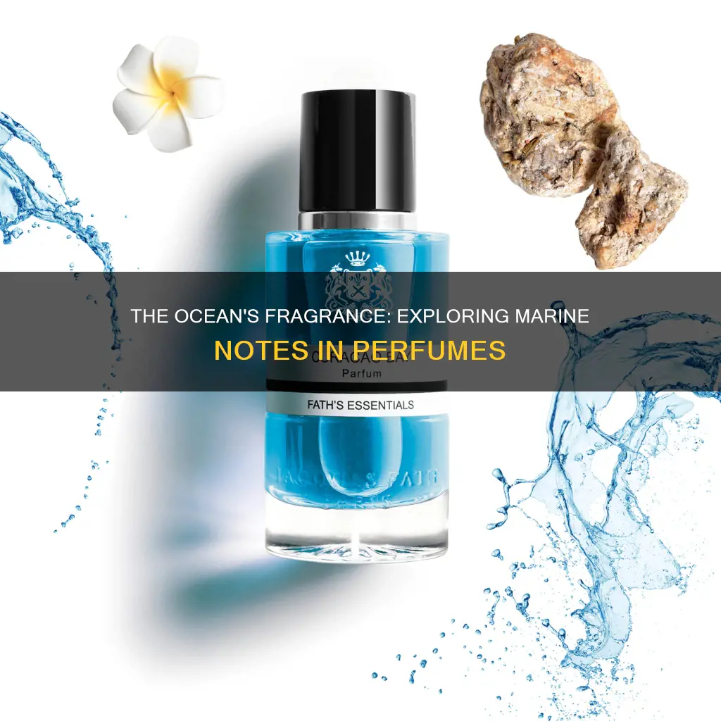 what are marine notes in fragrance