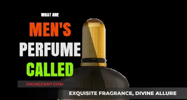 Unveiling the World of Men's Fragrances: What Are They Called?