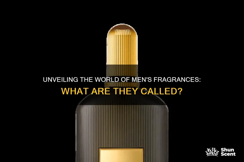what are men