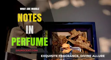 Understanding Middle Notes: The Heart of Your Perfume's Signature Scent