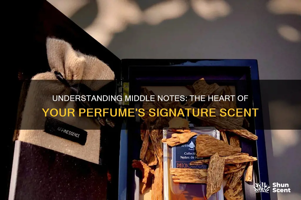 what are middle notes in perfume