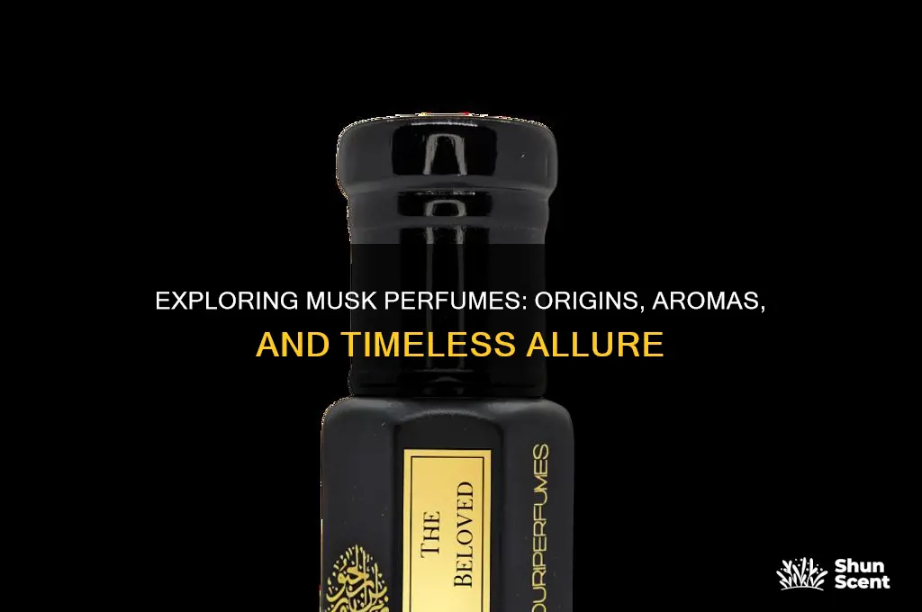what are musk perfumes