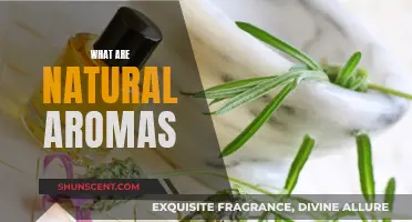 Natural Aromas: Nature's Scents and Their Benefits