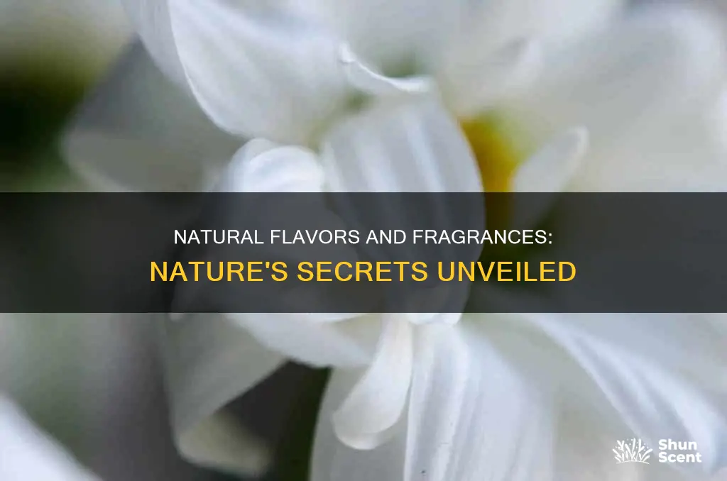 what are natural flavors natural fragrances
