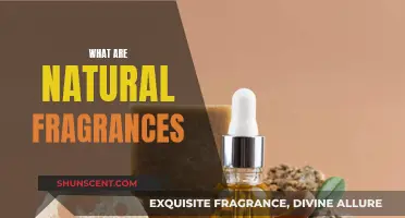 Natural Fragrances: Unlocking the Power of Botanical Scents