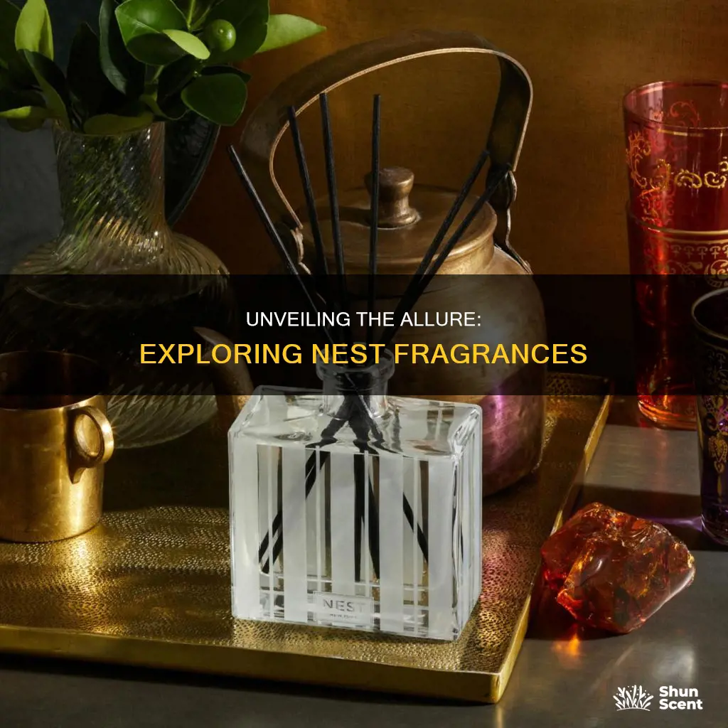 what are nest fragrances