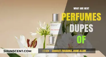 Discover Affordable Alternatives: Next Perfumes Dupes Unveiled