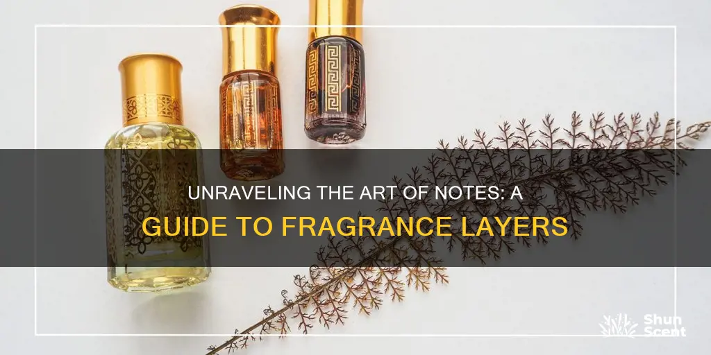 what are notes in fragrance