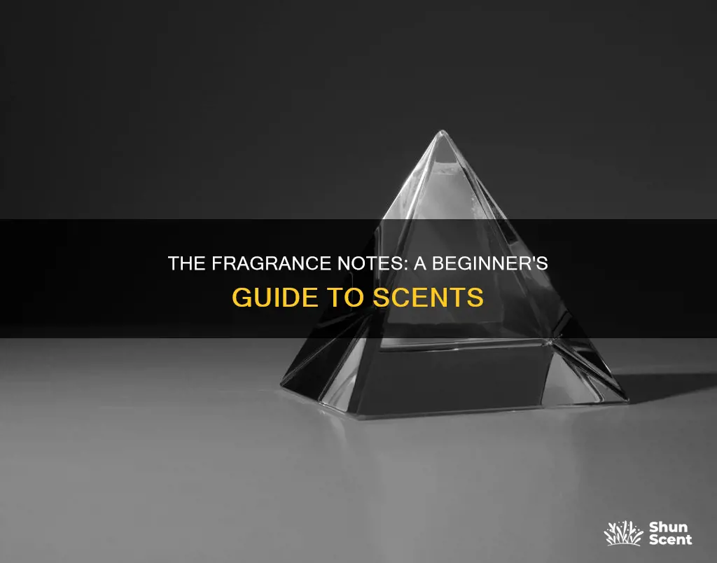 what are notes in fragrance