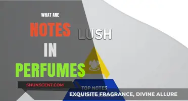 The Art of Notes in Perfumes