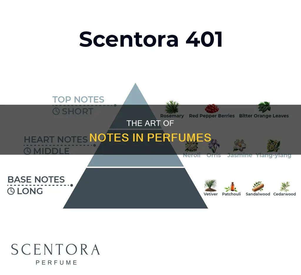 what are notes in perfumes