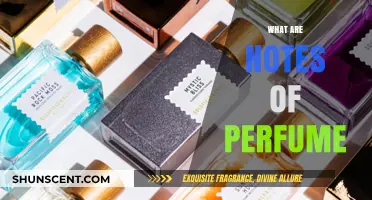 Understanding the Art of Perfume Notes: A Comprehensive Guide