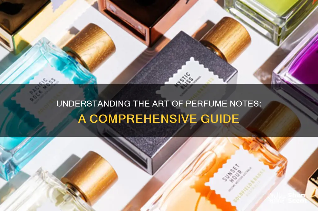 what are notes of perfume
