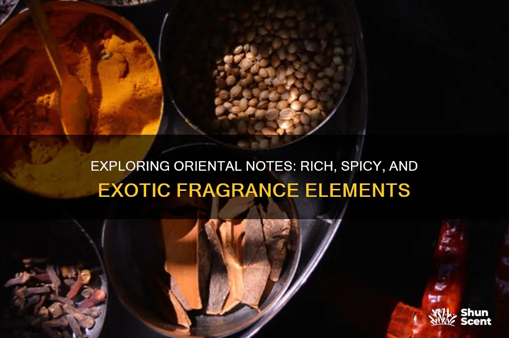 what are oriental notes in perfume