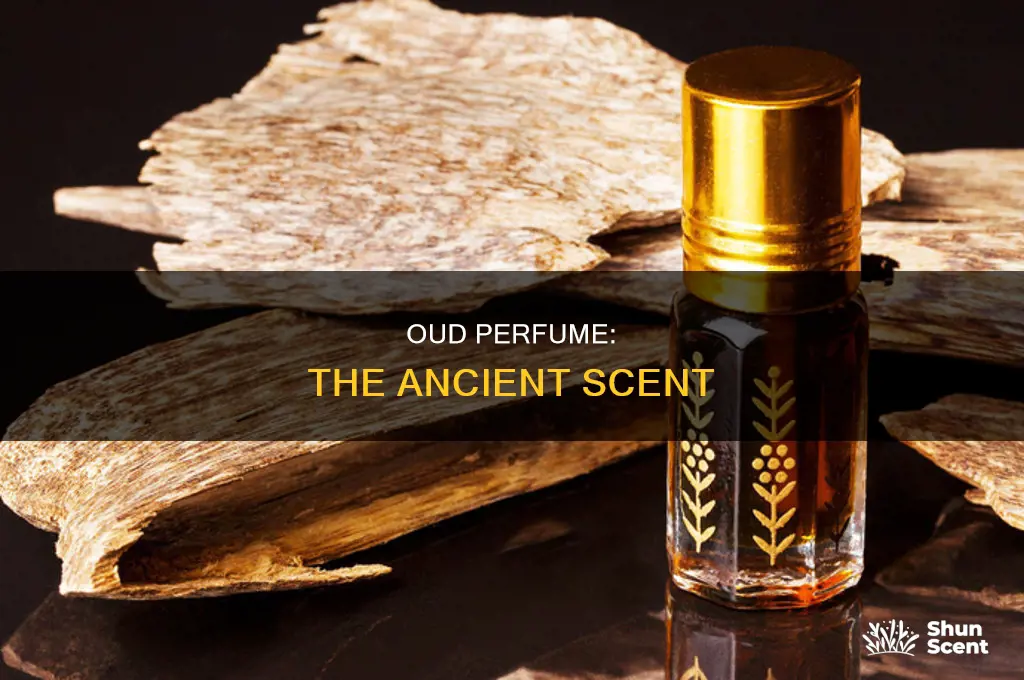 what are oud perfume
