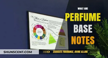 Understanding Perfume Base Notes: The Foundation of Fragrance Longevity