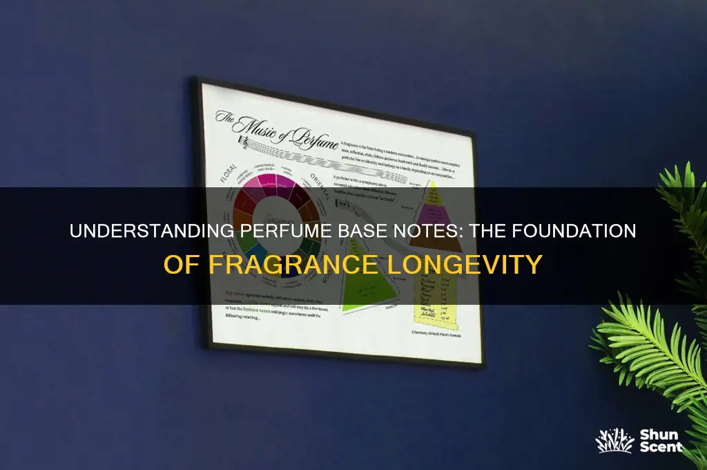 what are perfume base notes