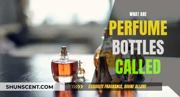 The Evolution of Perfume Bottle Names