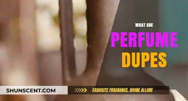 Discover Affordable Luxury: Understanding the World of Perfume Dupes