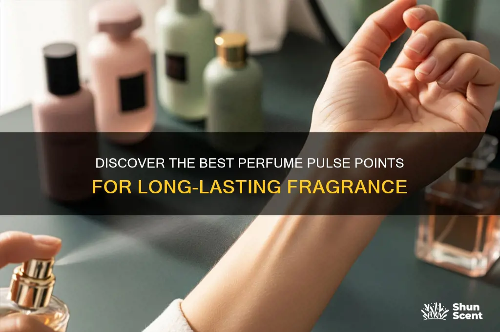what are perfume pulse points