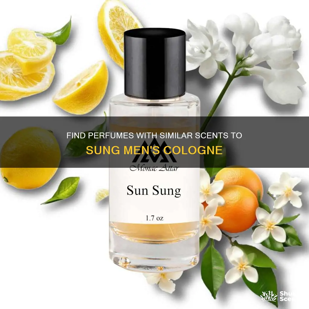 what are perfumes similar smell like sung mens colgne