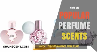 Discover the Most Popular Perfume Scents: A Fragrant Guide