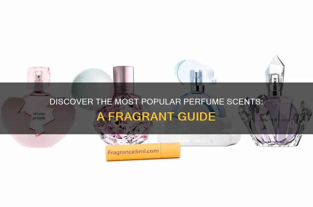 what are popular perfume scents