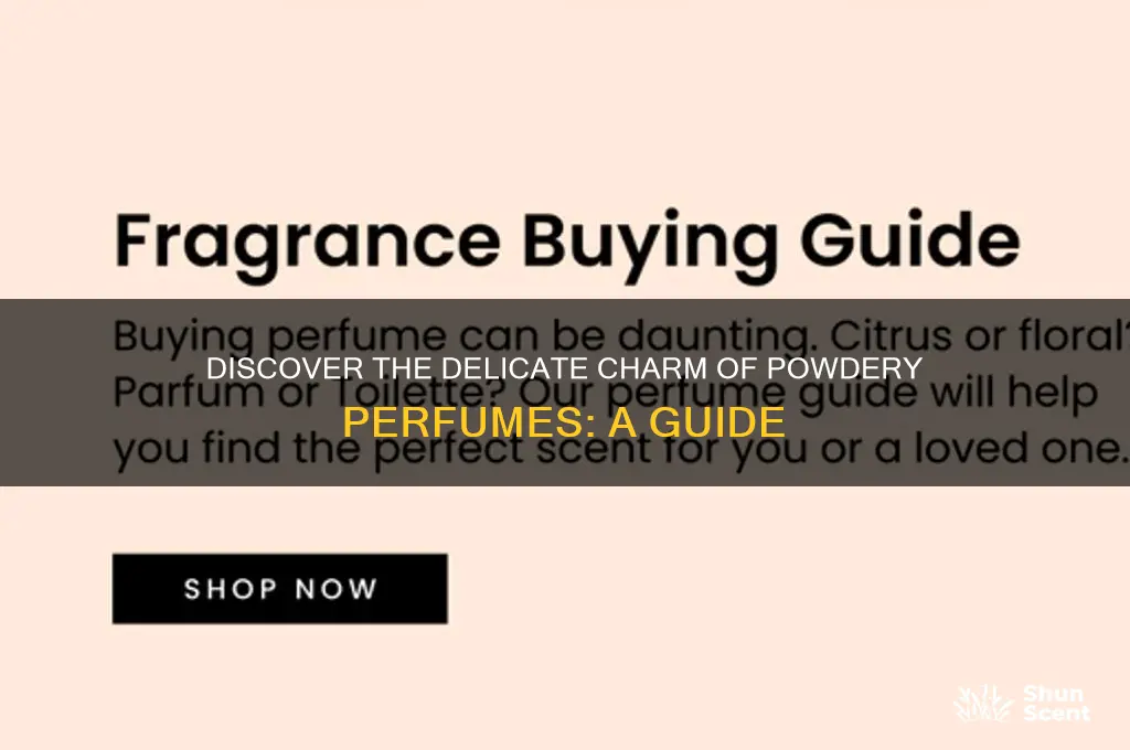 what are powdery perfumes