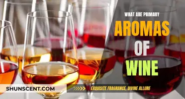 Wine Aromas: Primary Notes and Their Unique Characters